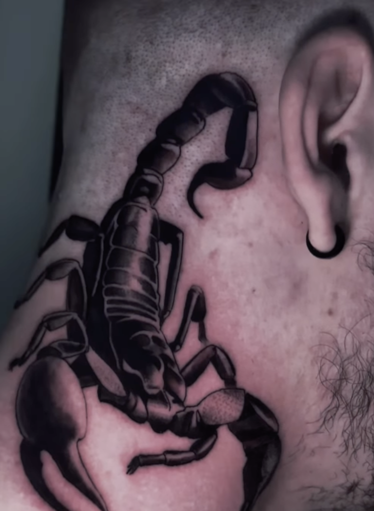 Scorpion